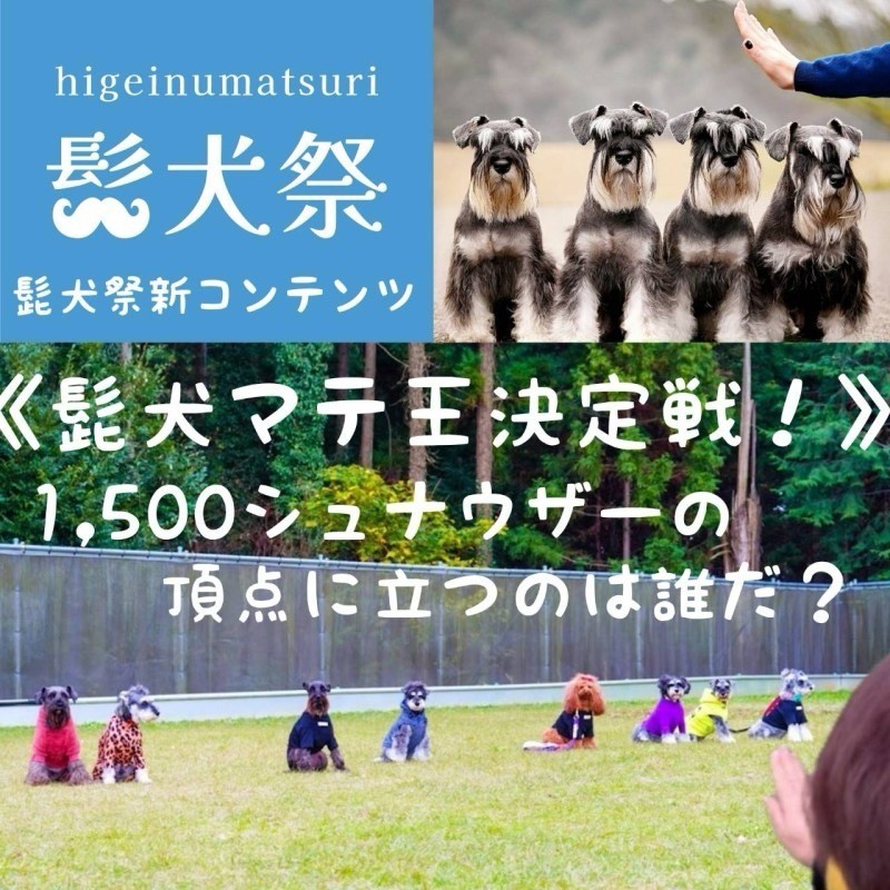 髭犬マテ王決定戦！