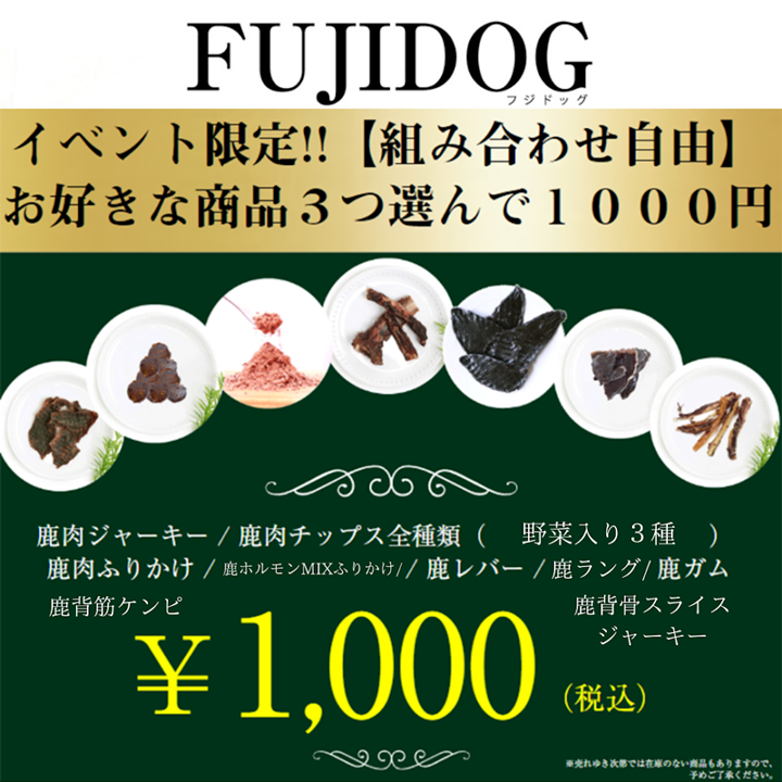 FUJIDOG