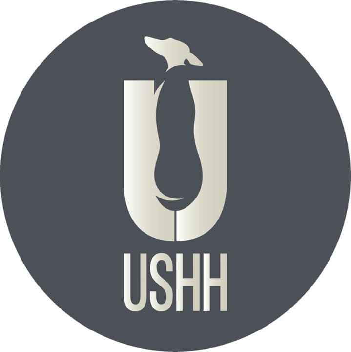 USHH (アシュー)