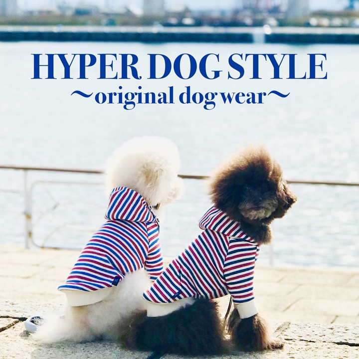 HYPER DOG STYLE