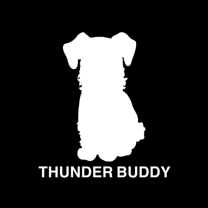 THUNDER BUDDY